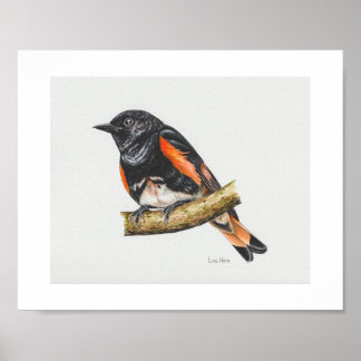 Amerikaanse Redstart Warbler Art Print