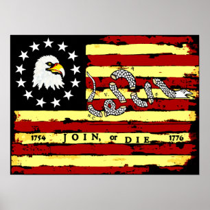Amerikaanse Revolutionaire vlag Poster