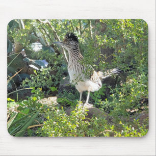 Amerikaanse roadrunner in de Arizona-woestijn Muismat