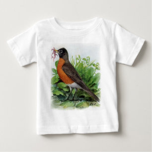 Amerikaanse Robin