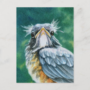 Amerikaanse Robin Bird Fledgling Waterverf Art Briefkaart