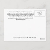 Amerikaanse Robin Briefkaart (Achterkant)