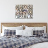 Amerikaanse Robin Canvas Afdruk (Insitu (Slaapkamer))