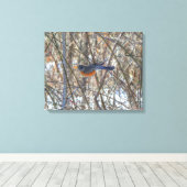 Amerikaanse Robin Canvas Afdruk (Insitu (Houten vloer))