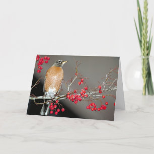 Amerikaanse Robin en Red Berries Kaart
