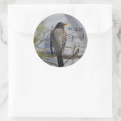 Amerikaanse robin foto ronde sticker (Tas)