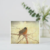 Amerikaanse Robin in The Springtime Briefkaart (Staand voorkant)