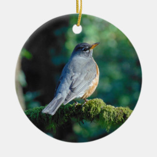 Amerikaanse Robin Keramisch Ornament