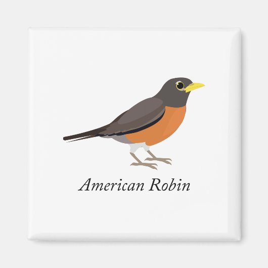 Amerikaanse Robin Magneet (Voorkant)