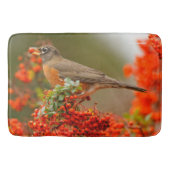 Amerikaanse Robin met een Pyracantha Pomme Badmat (Voorkant)