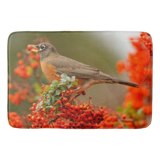 Amerikaanse Robin met een Pyracantha Pomme Badmat (Voorkant)