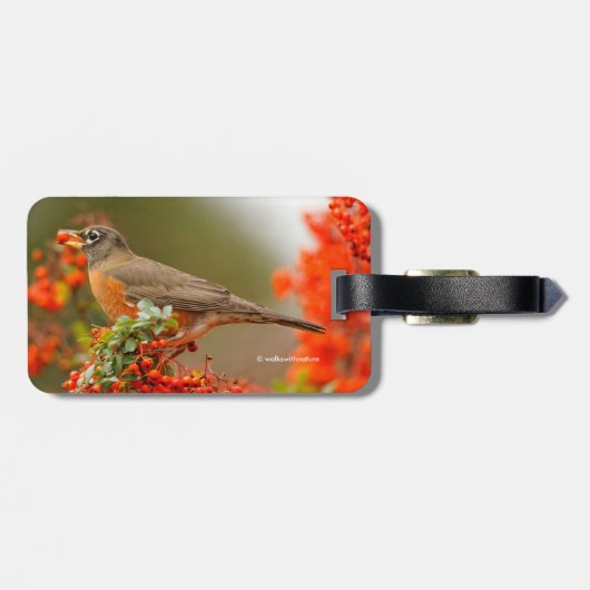 Amerikaanse Robin met een Pyracantha Pomme Bagagelabel (Achterkant horizontaal)