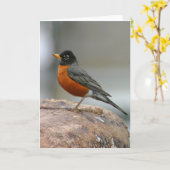Amerikaanse Robin Notecard Kaart (Gele Bloem)