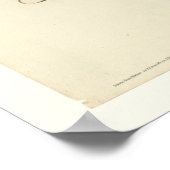 Amerikaanse Robin Poster (Hoek)