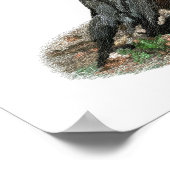 Amerikaanse Robin Prints en Posters (Hoek)