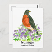 Amerikaanse Robin State Bird van Wisconsin Briefkaart (Voorkant / Achterkant)