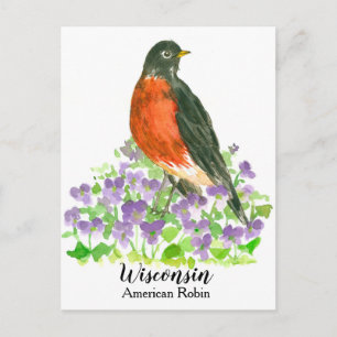 Amerikaanse Robin State Bird van Wisconsin Briefkaart