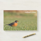 Amerikaanse Robin the Winter Grass Post-it® Notes (Op bureau)