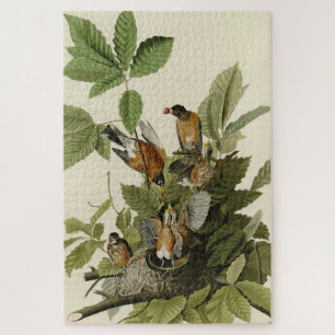 Amerikaanse Robin van Audubon's Birds of America Legpuzzel