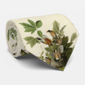 Amerikaanse Robin van Audubon's Birds of America Stropdas (Opgerold)
