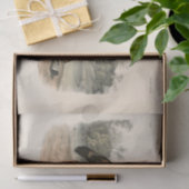 Amerikaanse rode texaan Wolf (Canis lupus) ontkopp Tissuepapier (Geschenk)