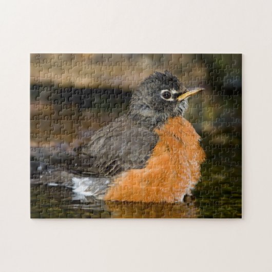 Amerikaanse Roodborst badend 2 Legpuzzel (Horizontaal)