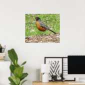 Amerikaanse Roodborst Poster (Thuiskantoor)