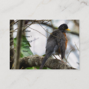 Amerikaanse Roodborst Vogel Zakelijke Kaart Visitekaartje