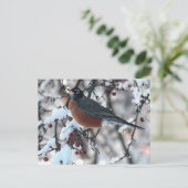 Amerikaanse roodborstje briefkaart (Staand voorkant)
