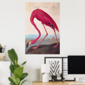 Amerikaanse roze flamingo Audubon  Bookplaat Poster (Thuiskantoor)