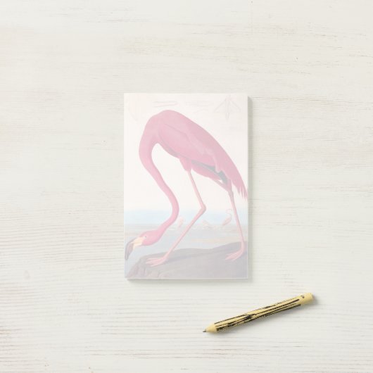 Amerikaanse roze flamingo Audubon Bookplate Post-it® Notes (Op bureau)