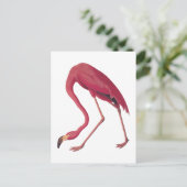 Amerikaanse roze Vintage kunst Briefkaart (Staand voorkant)