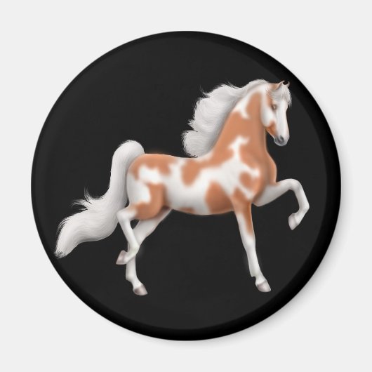 Amerikaanse Saddlebred Pinto Horse Magnet Magneet (Voorkant)