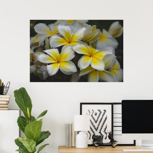 Amerikaanse schoonheid, Floral Yellow Plumeria Poster (Thuiskantoor)