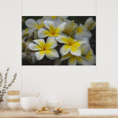 Amerikaanse schoonheid, Floral Yellow Plumeria Poster (Keuken)