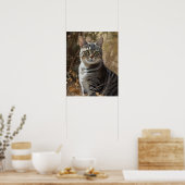 Amerikaanse Shorthair Cat Art Print Poster (Keuken)