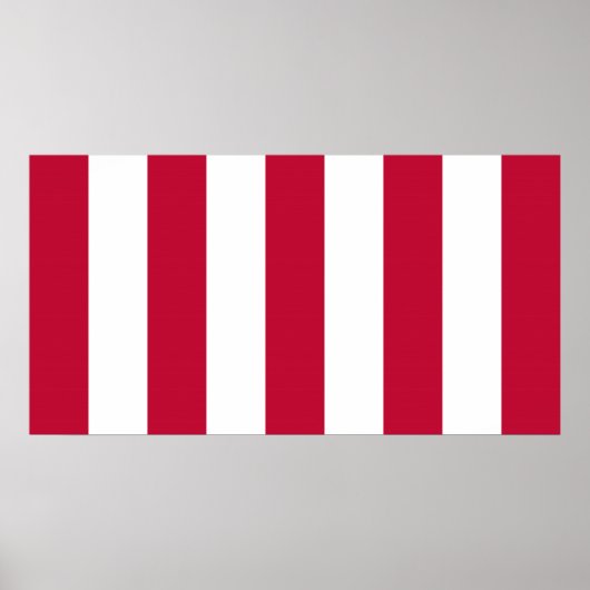 Amerikaanse Sons of Liberty 9 Vertical Strip Flag Poster (Voorkant)