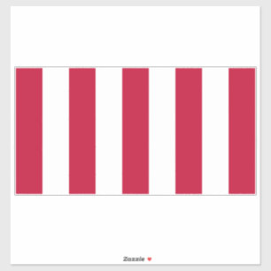 Amerikaanse Sons Of Liberty-vlag met 9 strepen Sticker