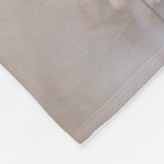 AMERIKAANSE SPACE SHUTTLE-ONDERNEMING FLEECE DEKEN (Hoek)