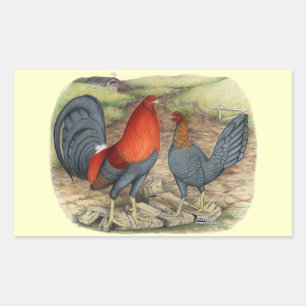 Amerikaanse spel blauwe roden rechthoekige sticker
