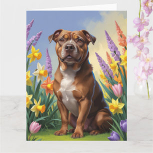 Amerikaanse Staffordshire Honden Lente Bloemen Sch Kaart