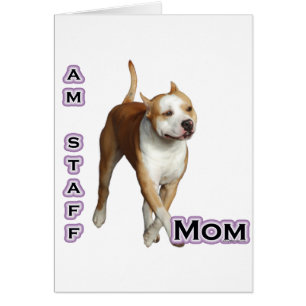 Amerikaanse Staffordshire Mom 4