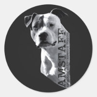 Amerikaanse Staffordshire Terrier - Amstaff