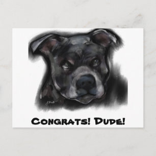 Amerikaanse Staffordshire Terrier Briefkaart