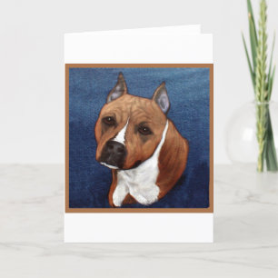 Amerikaanse Staffordshire Terrier Kaart