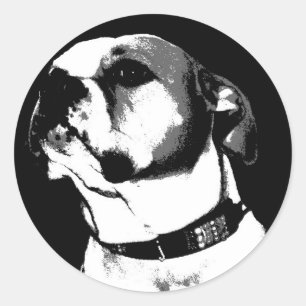 Amerikaanse stierenhond ronde sticker