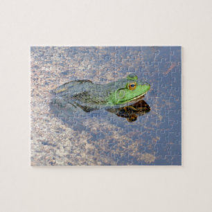 Amerikaanse stierkikker in Acadia Legpuzzel