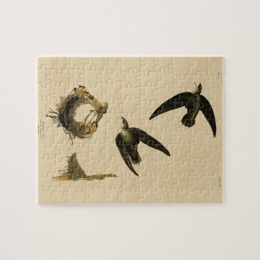 Amerikaanse Swift Audubon (Chimney), vogels van Am Legpuzzel (Horizontaal)