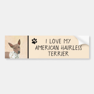 Amerikaanse tertierschilderingen zonder airconditi bumpersticker