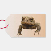 Amerikaanse Toad Pack van Gift Labels Cadeaulabel (Achterkant Horizontaal)